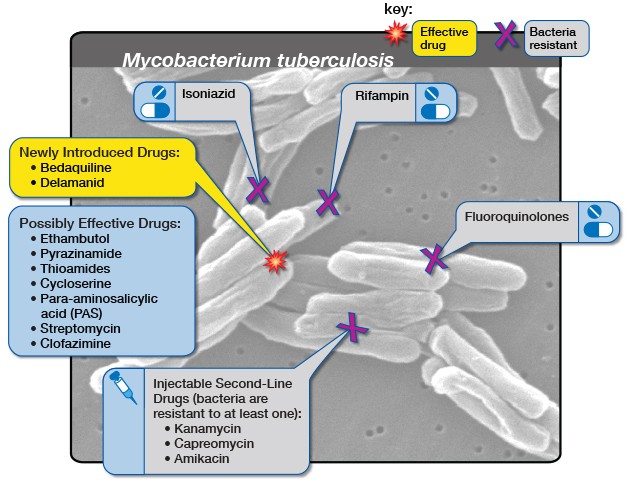 Summary image for article