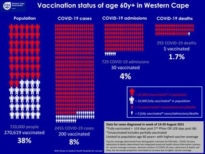 Summary image for article