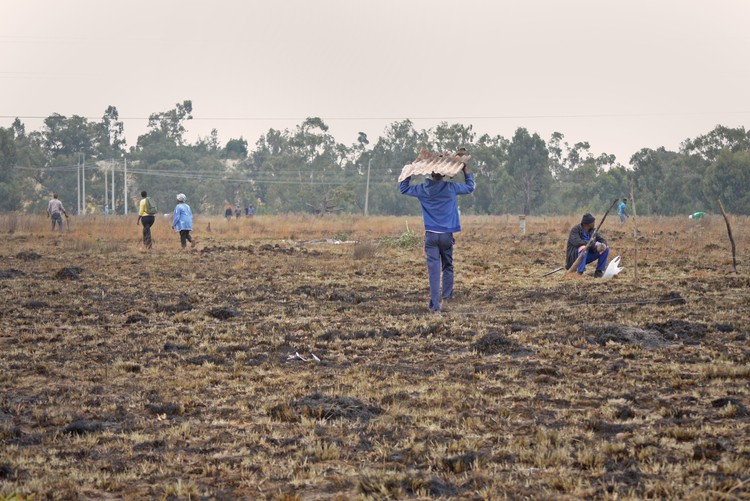 Photo of people occupying land