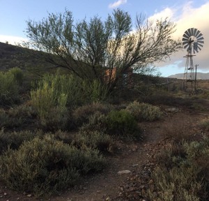 Photo of Karoo landscape