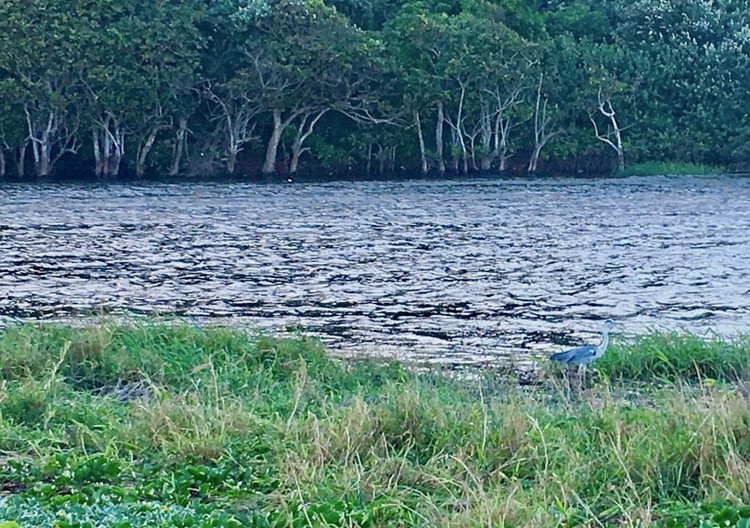 Photo of a lagoon