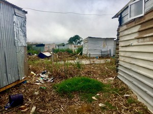 Photo of shacks in wetland