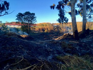 Photo of burnt veld and a building n the background