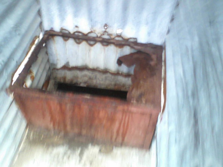 Photo of pit latrine