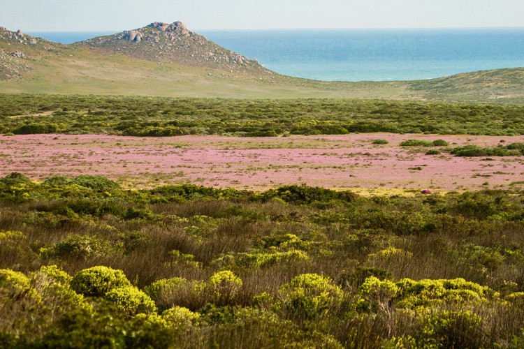 Photo of a field