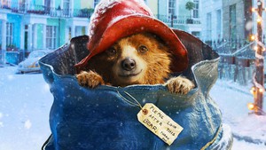 Image of Paddington Bear