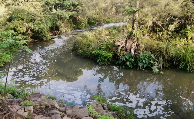 Photo of a river