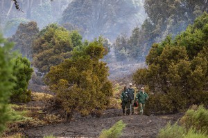 Cape Town Fire