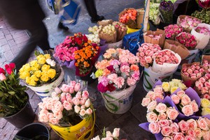 Flower Sellers