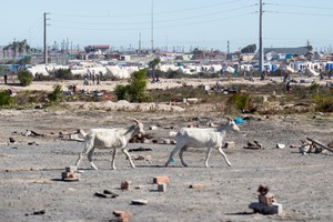 Evictions in Khayelitsha