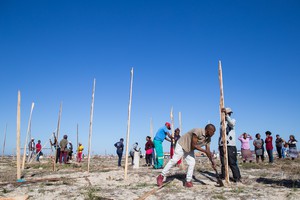 Khayelitsha Land Occupation