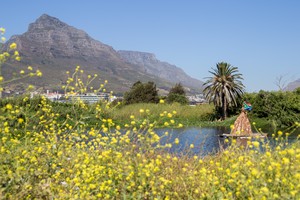 Photo of Liesbeek River