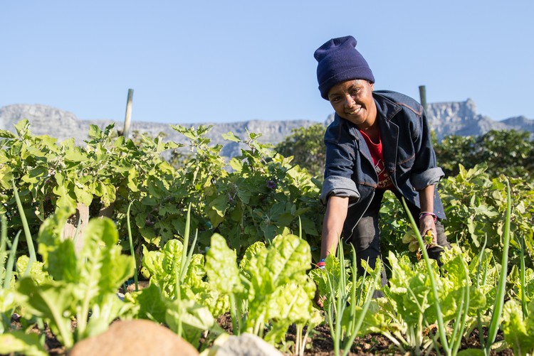 Photo of a woman gardening