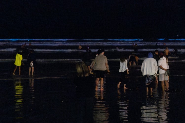 Photo of people watching bioluminescence at Muizenberg