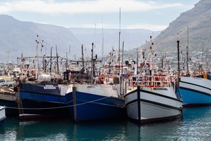 Fishing boats in Hout Bay