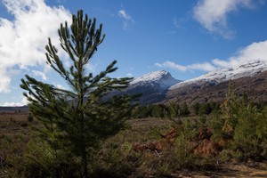 Snow in the Western Cape