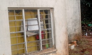 Photo of two young children staring out window