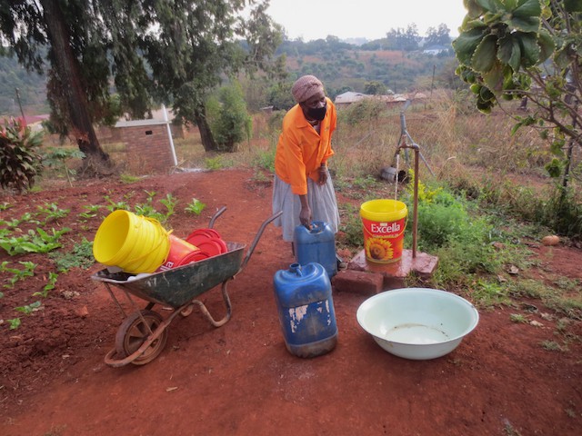 Photo of a woman with a wheelbarrow and containers