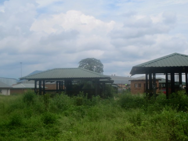 Photo of overgrown gazebos