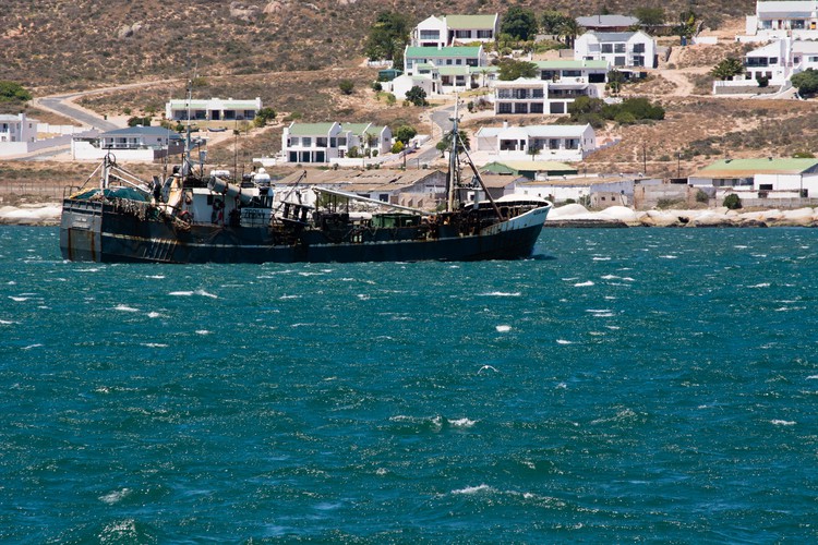 Photo of ship in front of shoreline with houses