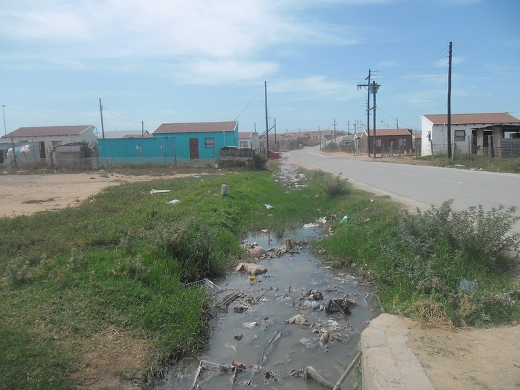 Photo of sewage in stream