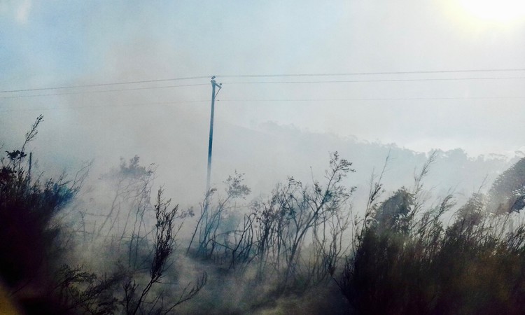 Photo of veld fire