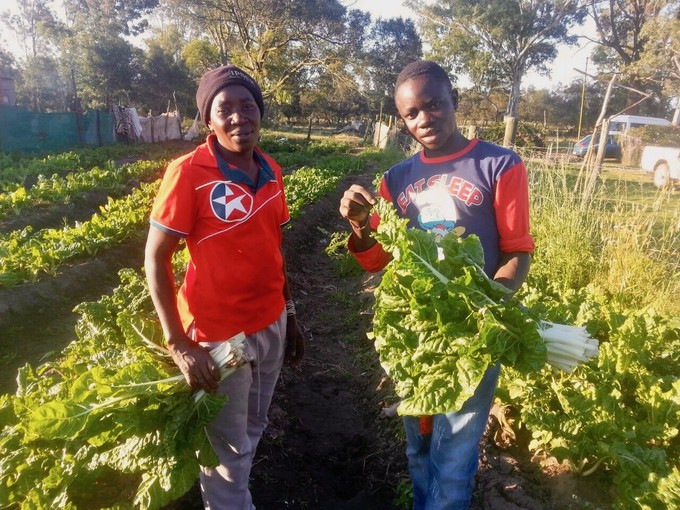 Photo of two people in a garden