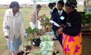 Photo of a vegetable market