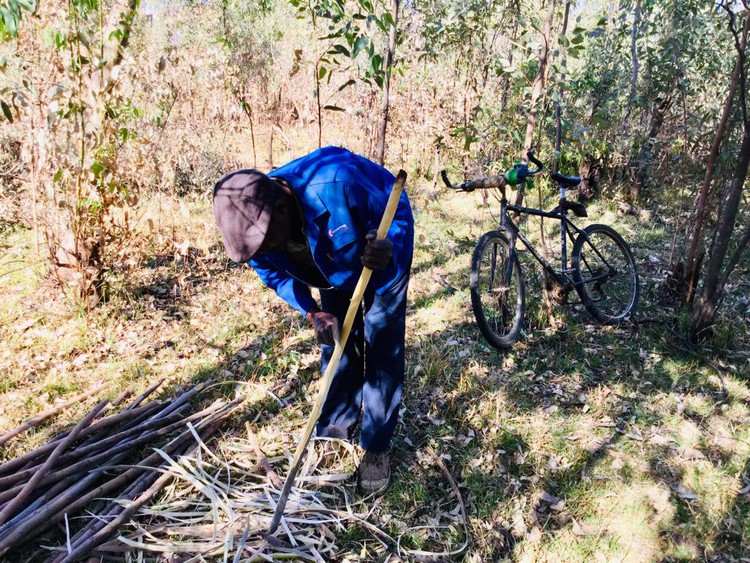 Photo of man cutting branches