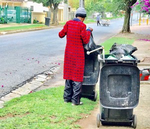 Photo of a woman looking in a dirt bin