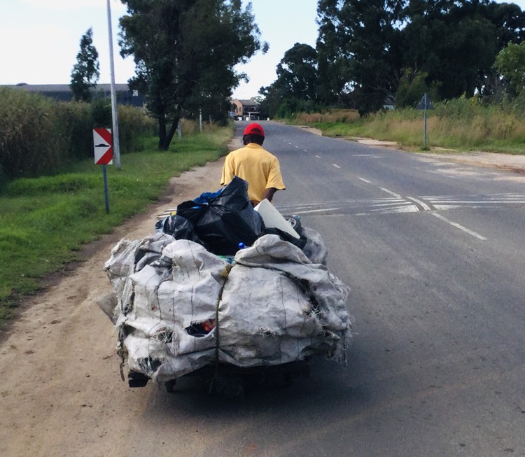 Photo of Sipho Mazola