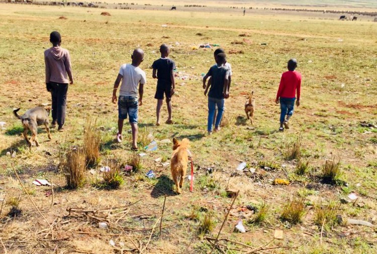 Photo of boys going hunting