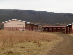 Photo of a school