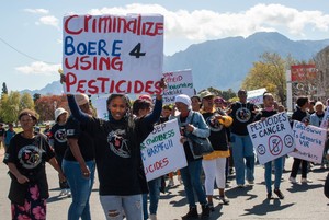 Farm workers protest against pesticides