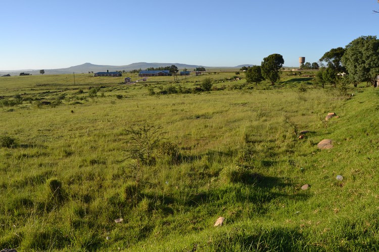 Photo of empty field