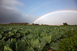 Photo of a farm