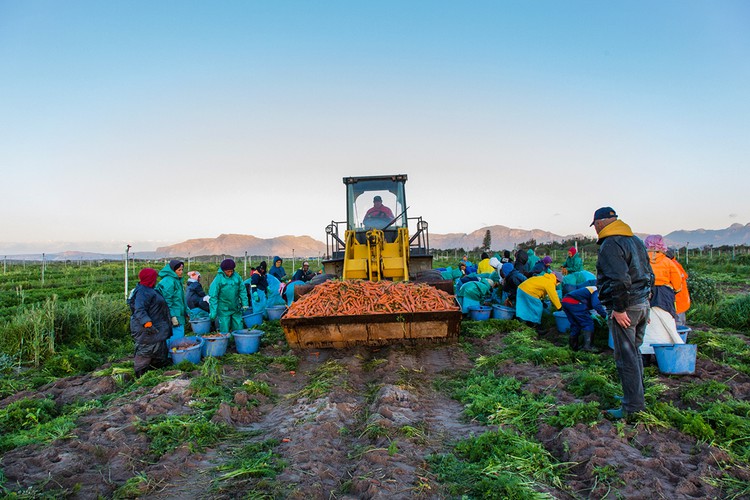 Photo of workers on a farm