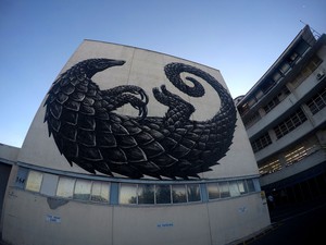 Cape Town’s iconic murals