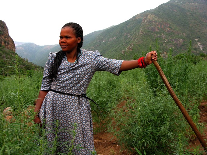 Photo of woman standing in field