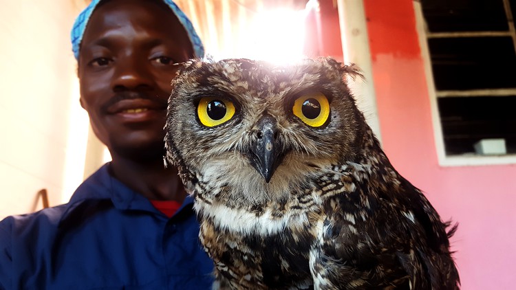 Photo of man with owl