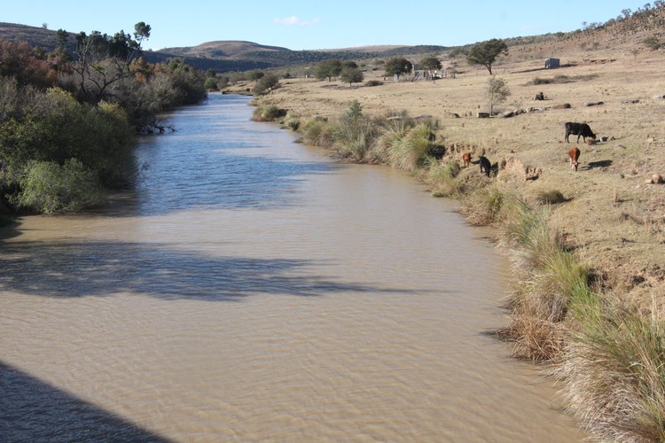 Photo of a river