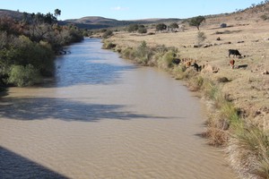 Photo of a river