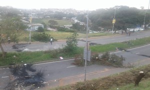 Photo of road blocked by trees