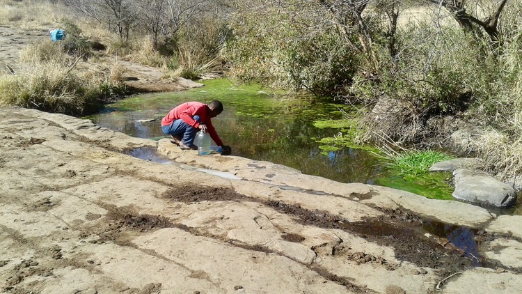 Photo of a person scooping water from a dam with algae