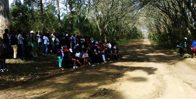 Photo of students gathering under trees