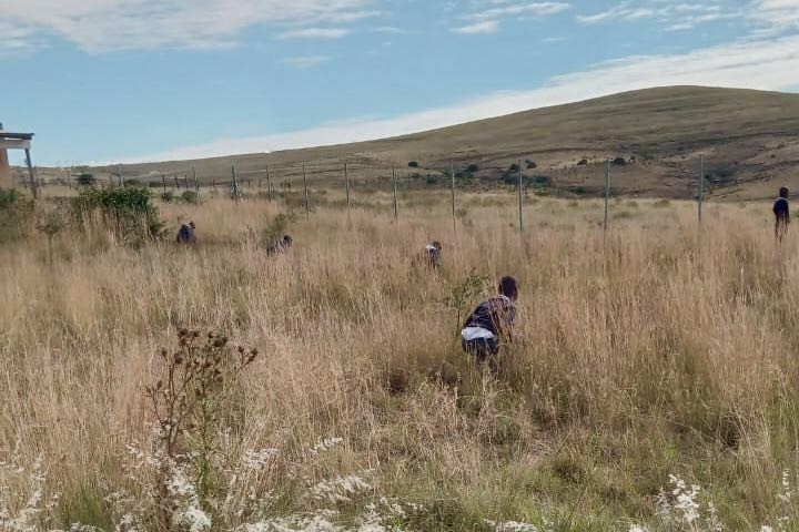 Photo of children in a field