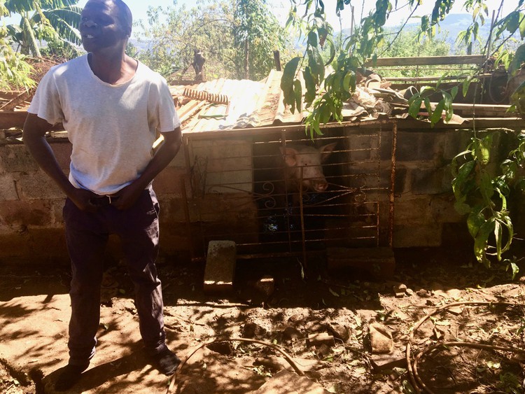 Photo of a man and a pig