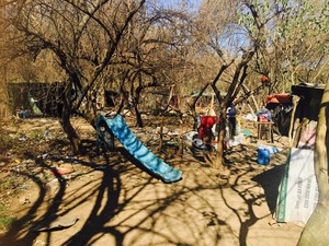 Photo of shacks in a forest