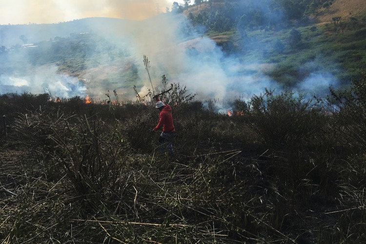 Photo of occupied land