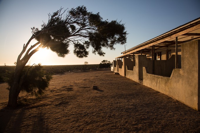 Photo of tree and house